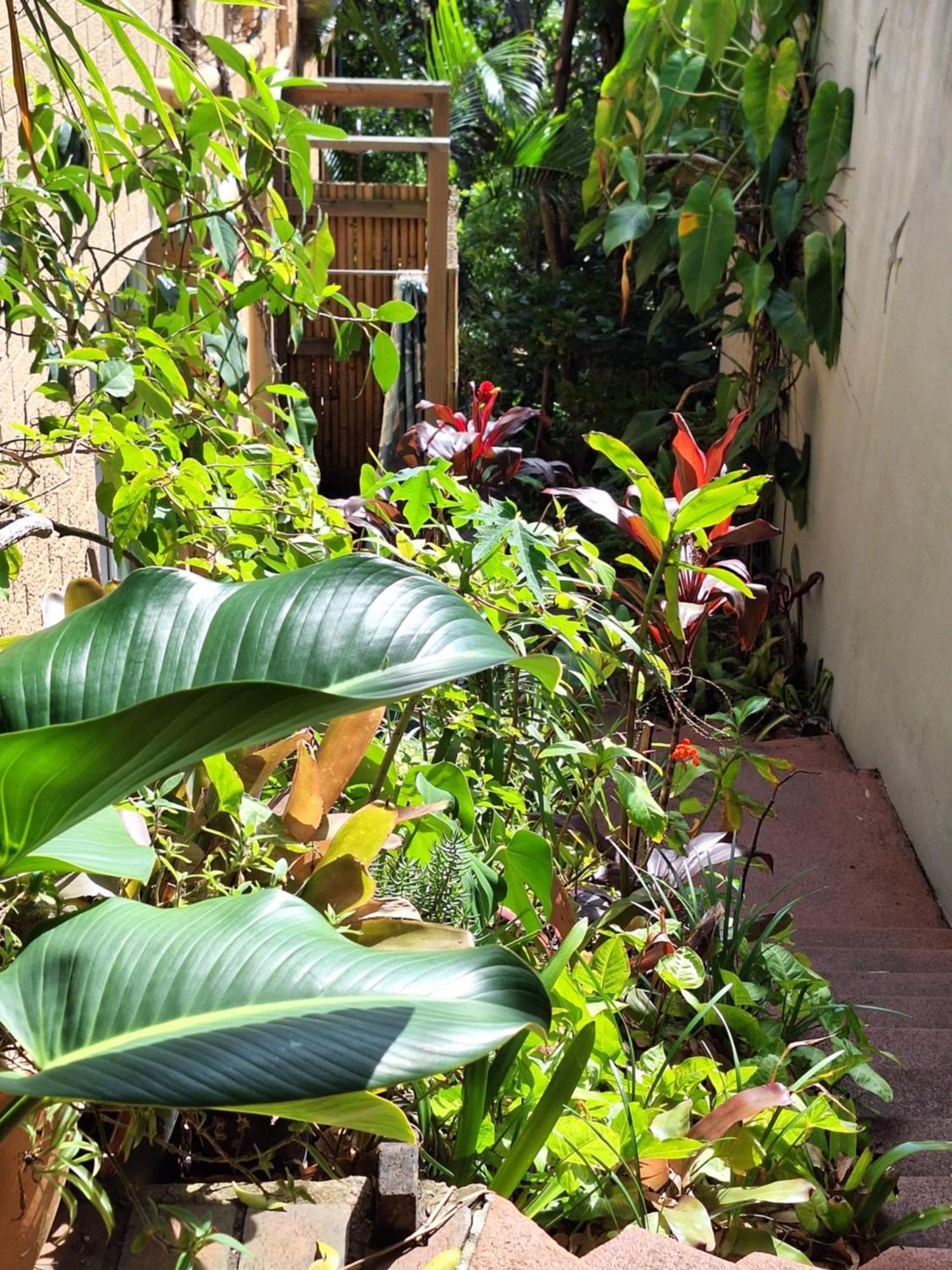 Apartamento WategosRent Byron Bay Exterior foto